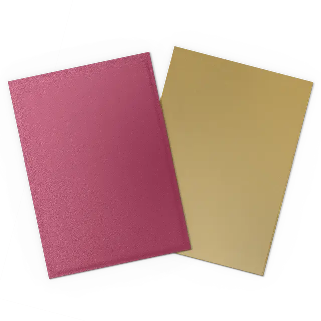 Dragon Shield - Matte Dual Sleeves - Pomegranate and Gold