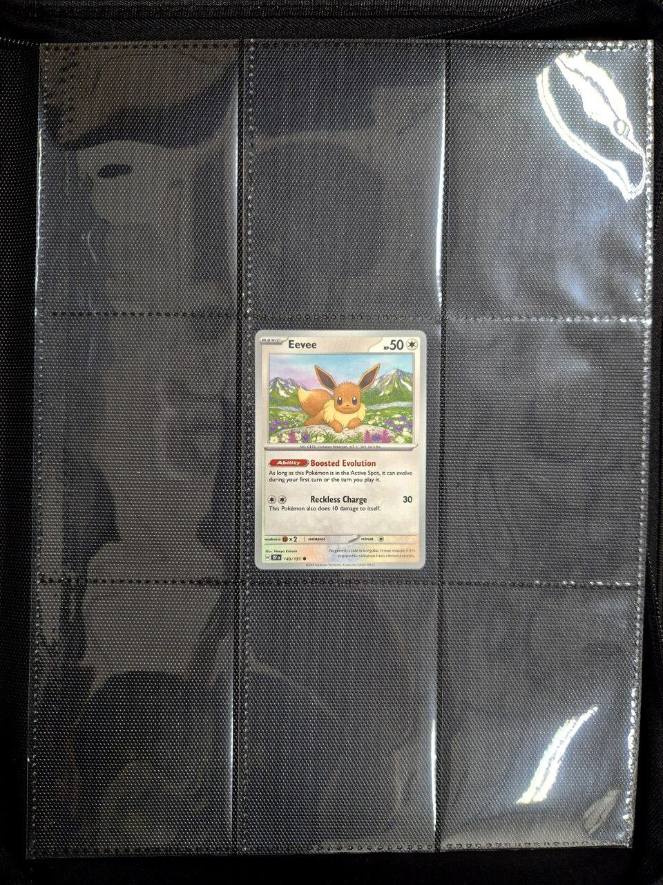 Engarde - 18 Pocket Premium Leather Binder (Black)