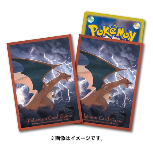 Pokemon Card Game Deck Shield Flying Charizard